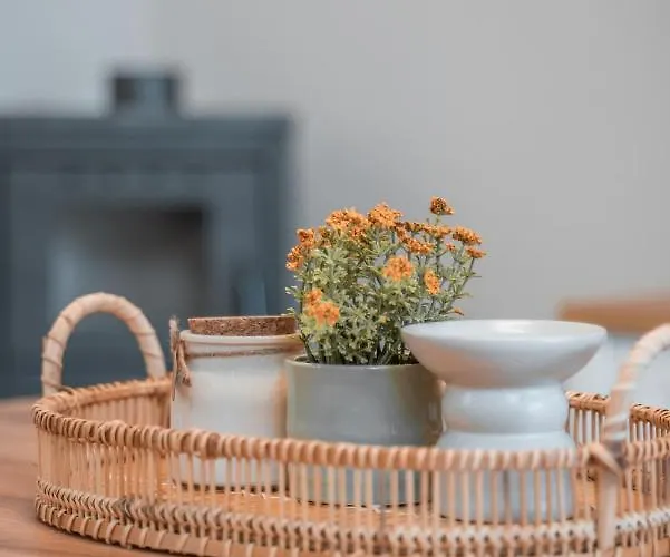 Oliveto A Flumine - Experientia Παστίδα